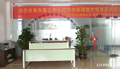 Warmly celebrate the launch of the new website of Dongguan Zhenglang Precision Metal Parts Co., Ltd.